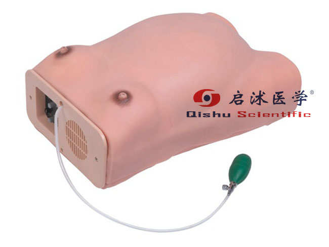 孕婦產(chǎn)科檢查電子標(biāo)準(zhǔn)化病人